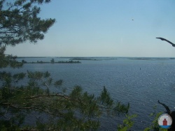 100_4334_1.JPG