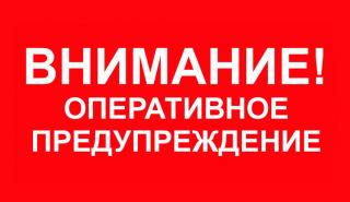 ����������� ��������������