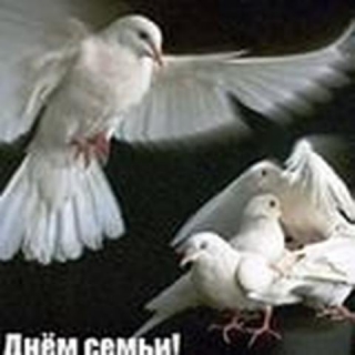 15 ��� ����������� ������������� ���� �����